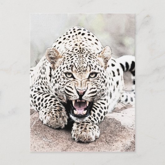 Leopard Briefkaart (Voorkant)