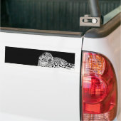 Leopard Bumpersticker (Op Truck)