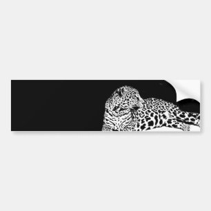 Leopard Bumpersticker