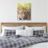 Leopard Canvas Afdruk (Insitu (Slaapkamer))