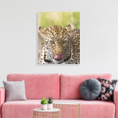 Leopard Canvas Afdruk (Insitu (Woonkamer))