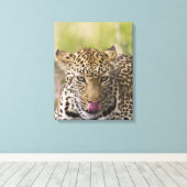 Leopard Canvas Afdruk (Insitu (Houten vloer))