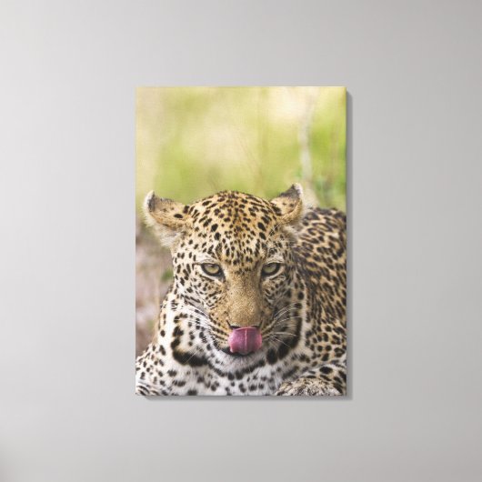 Leopard Canvas Afdruk (Voorkant)