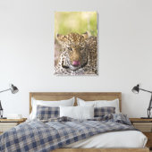 Leopard Canvas Afdruk (Insitu (Slaapkamer))