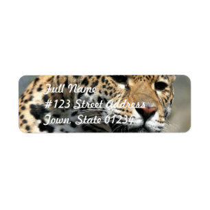Leopard Cat Étiquettes