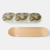 Leopard-Cat, Felis bengalensis Skateboard (Horizontaal)