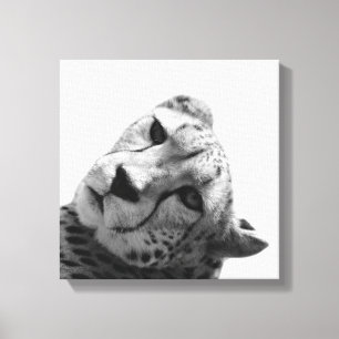 Leopard cheetah Wilde dierfoto zwart-wit Canvas Afdruk