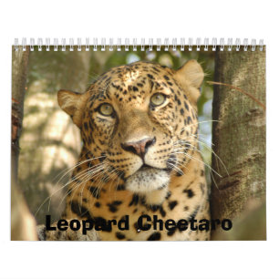 Leopard Cheetaro013, Leopard Cheetaro Kalender