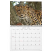 Leopard Cheetaro013, Leopard Cheetaro Kalender (Mar 2026)