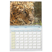 Leopard Cheetaro013, Leopard Kalender (Jan 2027)