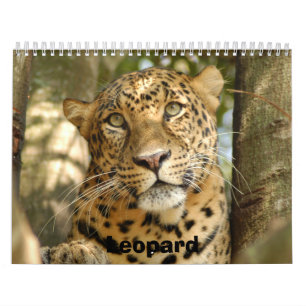 Leopard Cheetaro013, Leopard Kalender
