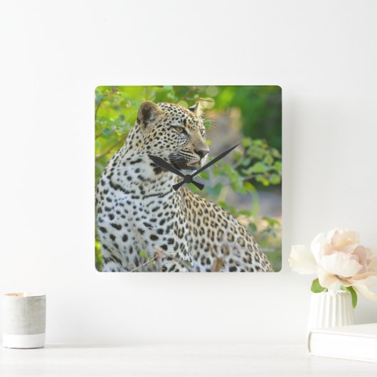 Leopard clock  vierkante klok (Huis)