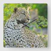 Leopard clock  vierkante klok (Voorkant)