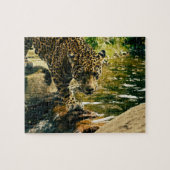 Leopard Crossing a Stream Legpuzzel (Horizontaal)