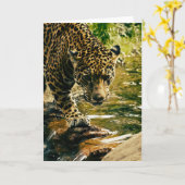 Leopard Crossing a Stream Photograph Kaart (Gele Bloem)