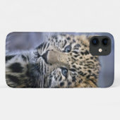 Leopard Cub iPhone 11 Hoesje (Achterkant (horizontaal))