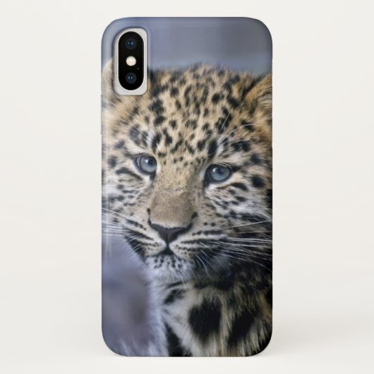 Leopard Cub iPhone X Coque (Dos)