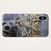 Leopard Cub iPhone X Hoesje (Achterkant (horizontaal))