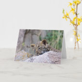 Leopard Cub Kaart (Gele Bloem)