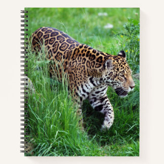 Leopard dans l'herbe Carnet spiral