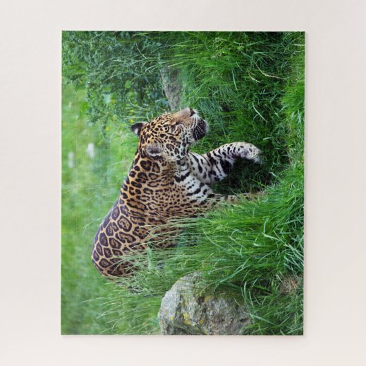 Leopard dans l'herbe Puzzle (Vertical)