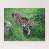 Leopard dans l'herbe Puzzle (Horizontal)