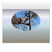 Leopard dans un arbre en Afrique (Intérieur Horizontal (Bas))