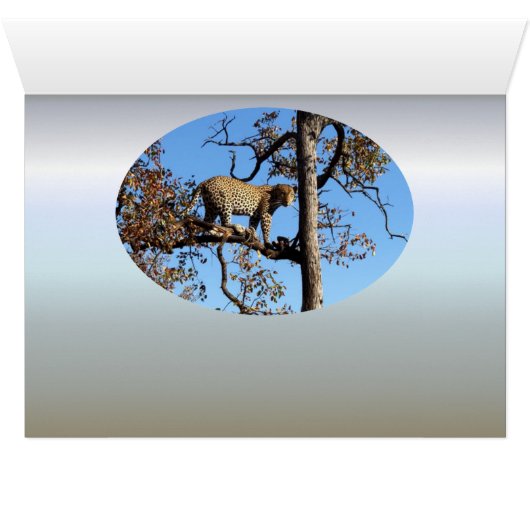 Leopard dans un arbre en Afrique (Intérieur Horizontal (Bas))