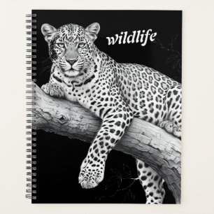 Léopard de minuit, illustration de faune et flore