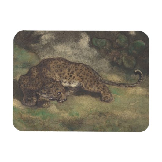 Leopard en Serpent Magneet (Horizontaal)