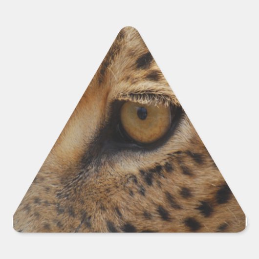 Leopard Eye Driehoek Sticker (Voorkant)
