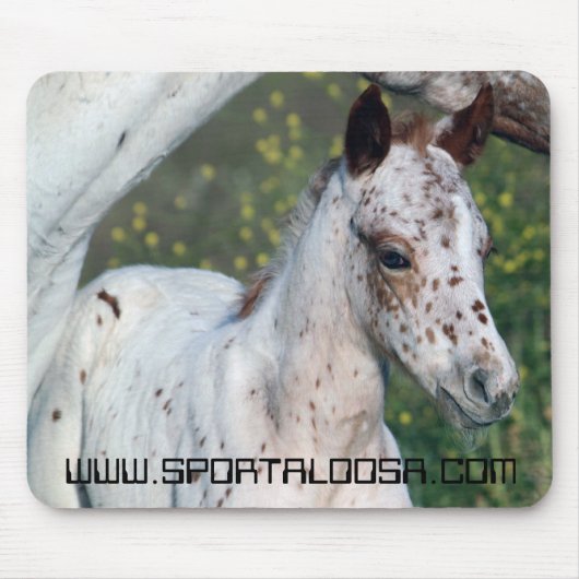 Leopard Filly Muismat (Voorkant)