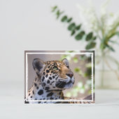 Leopard-foto Briefkaart (Staand voorkant)