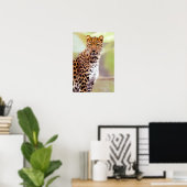 Leopard-foto Poster (Thuiskantoor)