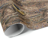 Leopard Frogs Wild Art Cadeaupapier (Rol Hoek)