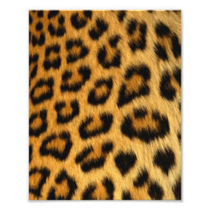 Leopard Fur Print Foto Afdruk