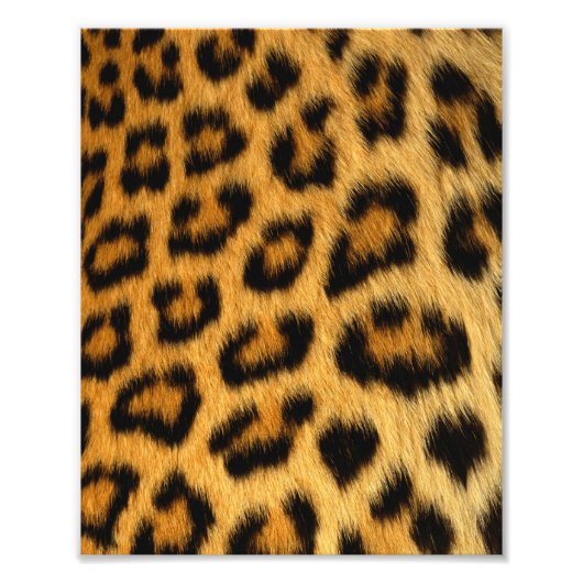 Leopard Fur Print Foto Afdruk (Voorkant)