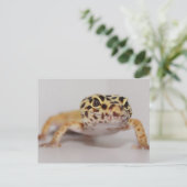 Leopard Gecko Briefkaart (Staand voorkant)