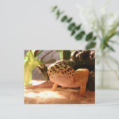 Leopard Gecko-Briefkaart Briefkaart (Staand voorkant)