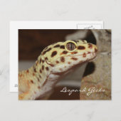 Leopard Gecko-Briefkaart Briefkaart (Voorkant / Achterkant)