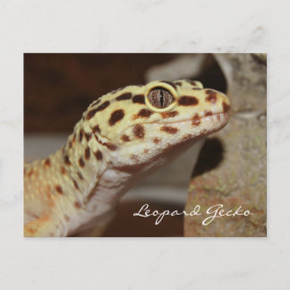 Leopard Gecko-Briefkaart Briefkaart