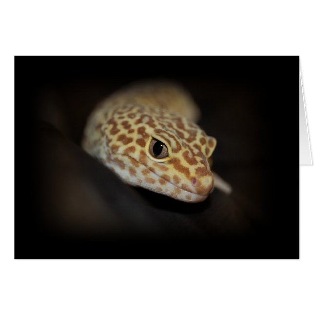 Leopard Gecko Card (Voorkant Horizontaal)