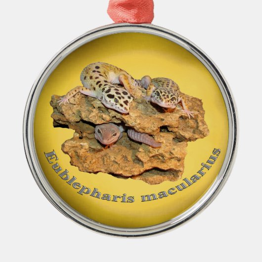 Leopard gecko design voor iedereen! metalen ornament (Voorkant)