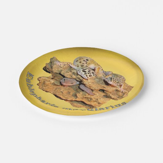 Leopard gecko design voor iedereen! papieren bordje (Gekanteld)
