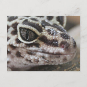 Leopard Gecko Eyes Mouth Face Close Briefkaart