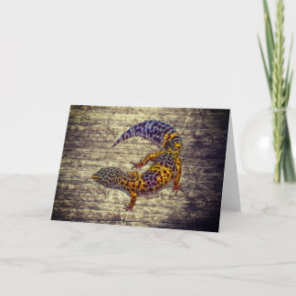 Leopard Gecko Kaart