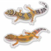 Leopard Gecko Lizard Sticker (Voorkant)