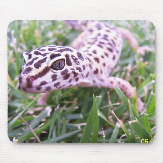 Leopard Gecko Muismat (Voorkant)