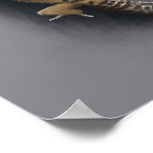 Leopard gecko poster (Hoek)