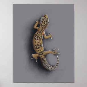 Leopard gecko poster
